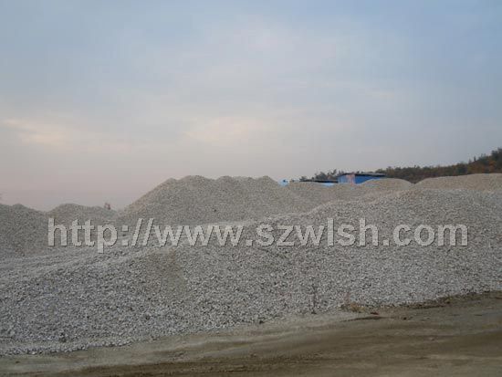 ��L(zh��ng)ʯ