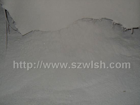 ��L(zh��ng)ʯ