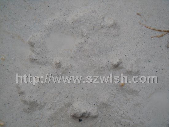 ��L(zh��ng)ʯ